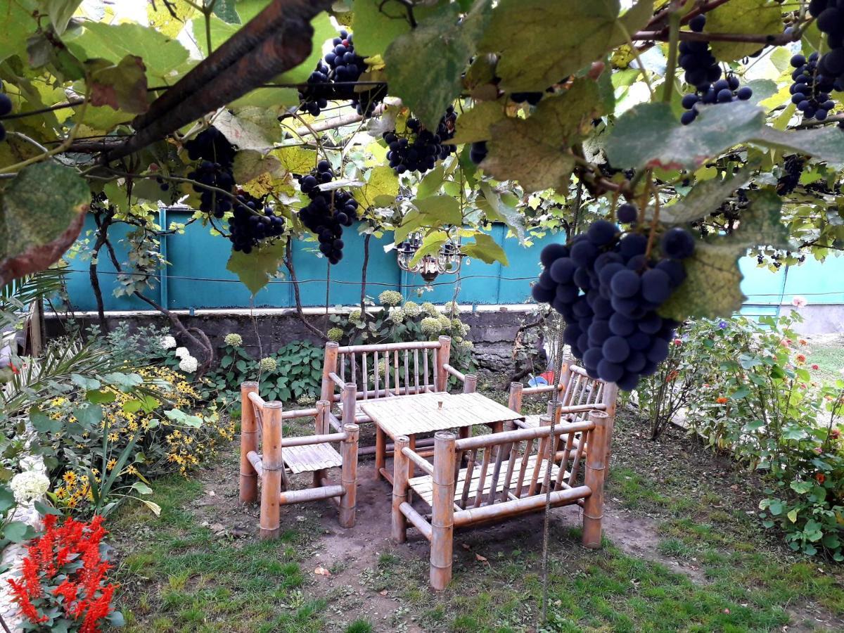 Holiday Home Borjomi Ngoại thất bức ảnh